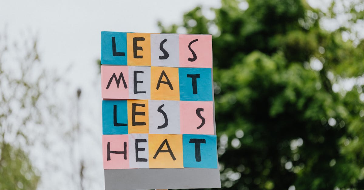 entdecken sie die welt des veganismus: gesunde, pflanzliche ernährung, ethische lebensweise und nachhaltige lebensstil-optionen für ein besseres wohlbefinden und den schutz unseres planeten.