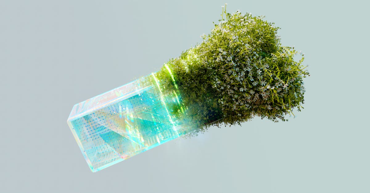 erleben sie die digitale transformation und entdecken sie, wie unternehmen durch innovative technologien ihre prozesse optimieren, die effizienz steigern und das kundenerlebnis verbessern können.