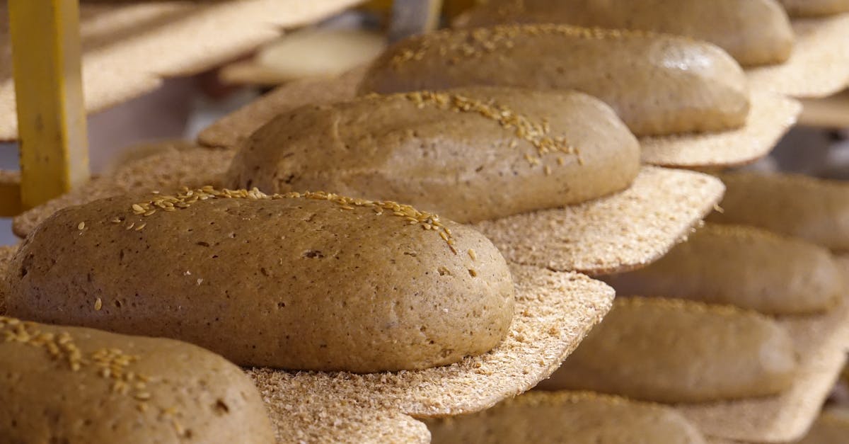 entdecken sie die exquisite welt der gourmetküche, wo geschmack und leidenschaft auf höchstem niveau verschmelzen. lassen sie sich von kreativen rezepten und erlesenen zutaten inspirieren.