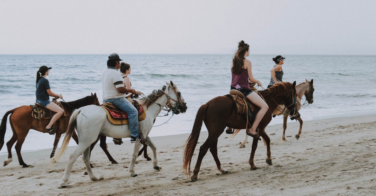 entdecken sie spannende familienaktivitäten! von ausflügen in die natur bis zu kreativen bastelstunden - finden sie die besten ideen, um gemeinsame zeit mit ihren liebsten zu genießen.