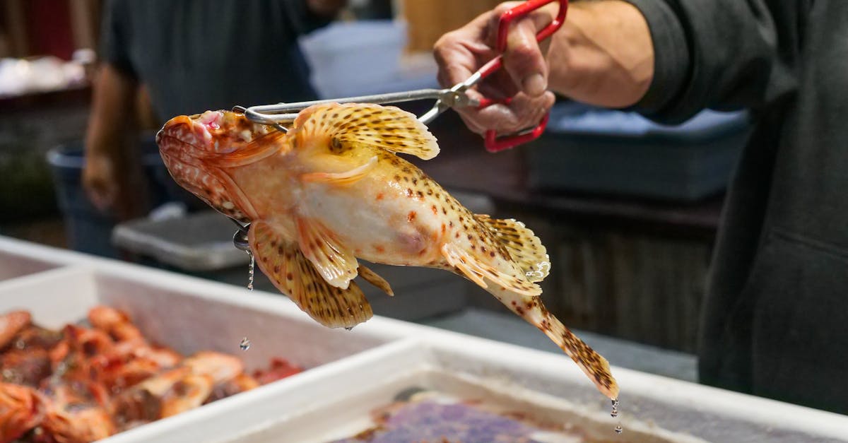 entdecken sie die prinzipien des nachhaltigen konsums und erfahren sie, wie sie umweltbewusste entscheidungen treffen können, um ressourcen zu schonen und eine bessere zukunft zu gestalten.