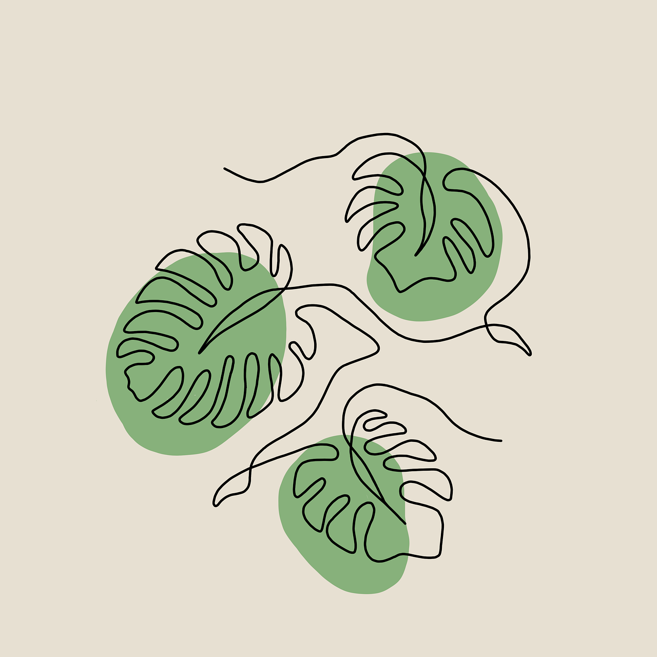 entdecken sie die schönheit des minimalismus: einfachheit, funktionalität und klarheit im design und lebensstil erhöhen ihr wohlbefinden und schaffen eine harmonische umgebung.