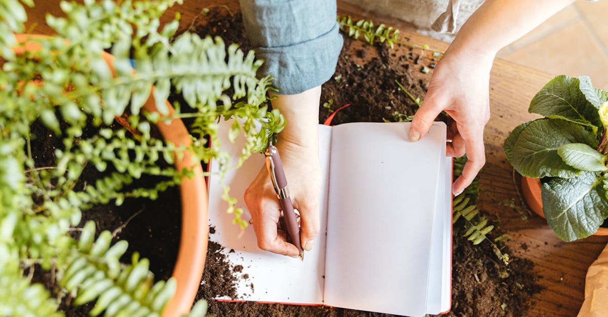 entdecken sie die welt des urban gardening! erfahren sie, wie sie auch in der stadt ihre eigenen pflanzen anbauen können – von gemüse bis kräuter. perfekt für alle, die lebendige grüne oasen in urbanen räumen schaffen möchten.