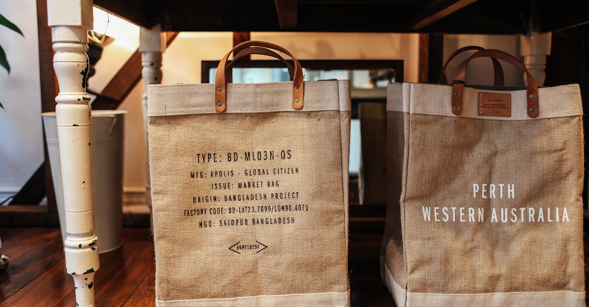 entdecken sie nachhaltige projekte, die umweltfreundliche lösungen bieten und zur förderung einer grünen zukunft beitragen. erfahren sie, wie innovative ansätze unsere welt positiv verändern können.