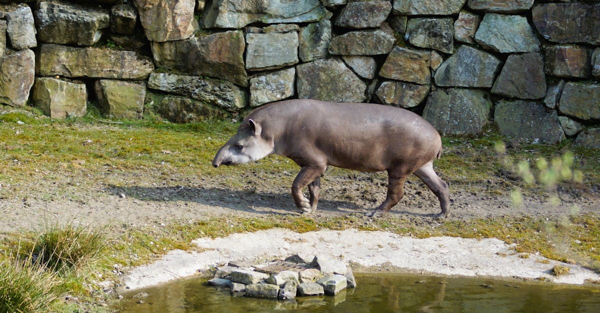 umweltbewusstsein ist entscheidend für die bewahrung unseres planeten. entdecken sie, wie sie ihren ökologischen fußabdruck reduzieren und nachhaltige praktiken in ihren alltag integrieren können.