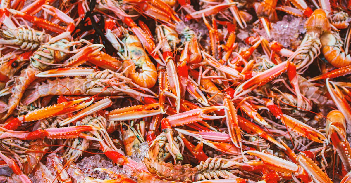 erfahren sie alles über die provision: bedeutung, arten und wie sie in verschiedenen branchen angewendet wird, um den verkauf zu steigern und anreize für vertriebspartner zu schaffen.