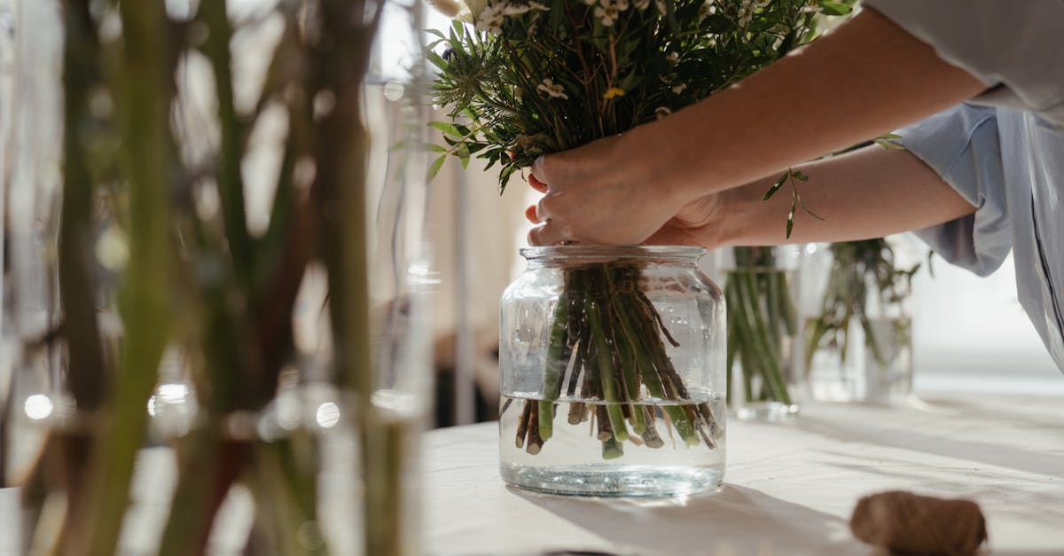 entdecken sie die vorteile eines nachhaltigen lebensstils! erfahren sie, wie sie umweltfreundliche entscheidungen treffen, ressourcen sparen und zu einer besseren zukunft für unseren planeten beitragen können.