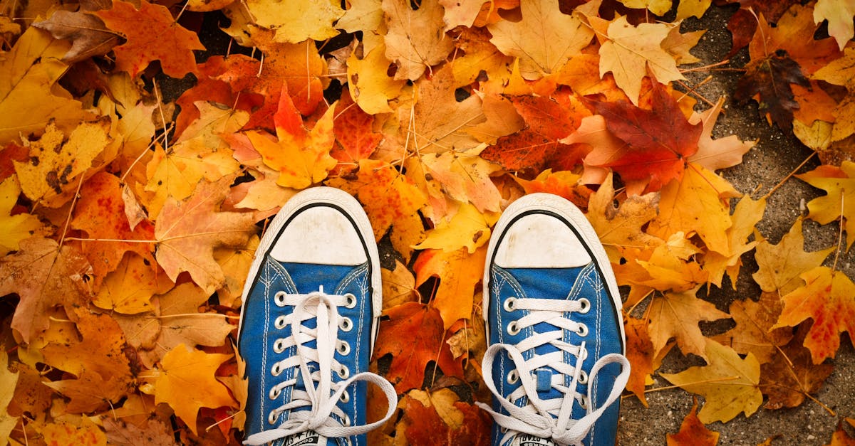 Die neuesten Modetrends für den Herbst 2024