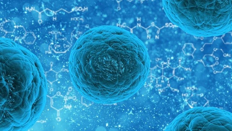 Gesundheitsvorsorge: Wie Sie Ihre Gesundheit proaktiv schützen können