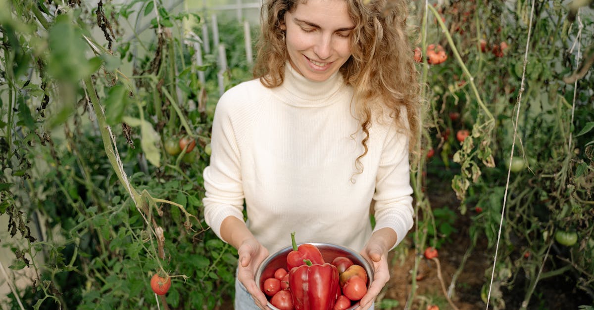 Selbstversorgung: Tipps für ein nachhaltiges Leben