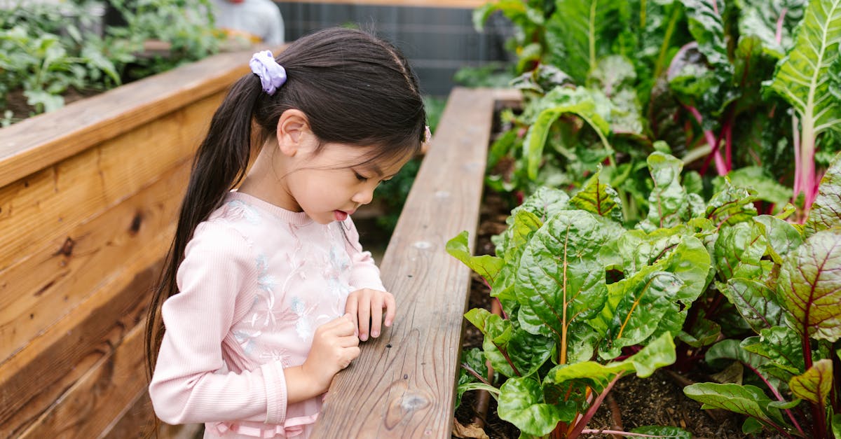 Urban Gardening: Die Vorteile und Möglichkeiten für städtische Gärten