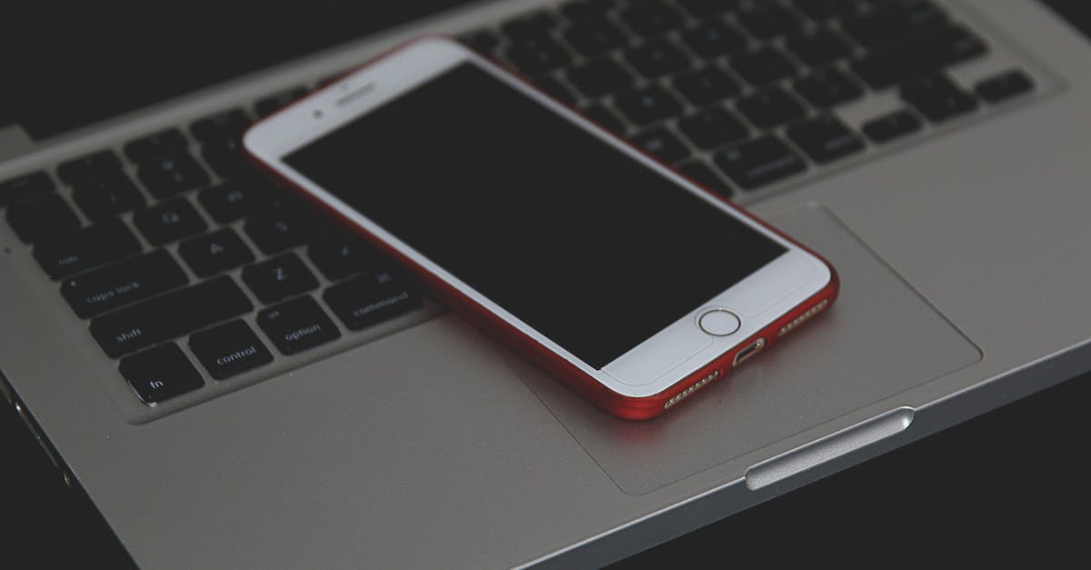 Die neuesten smarten Gadgets für ein vernetztes Zuhause